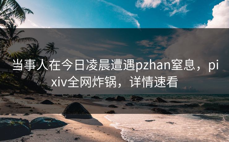 当事人在今日凌晨遭遇pzhan窒息,pixiv全网炸锅,详情速看