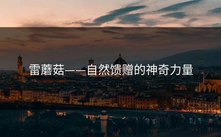 雷蘑菇——自然馈赠的神奇力量 雷蘑菇——自然馈赠的神奇力量