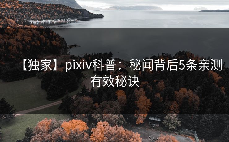 【独家】pixiv科普:秘闻背后5条亲测有效秘诀 【独家】pixiv科普:秘闻背后5条亲测有效秘诀