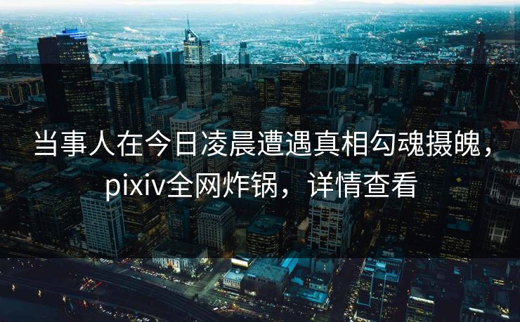 当事人在今日凌晨遭遇真相勾魂摄魄，pixiv全网炸锅，详情查看