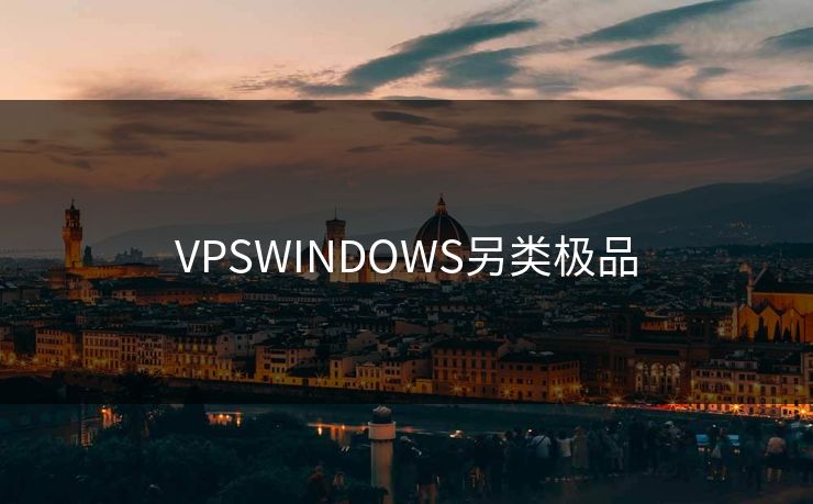VPSWINDOWS另类极品