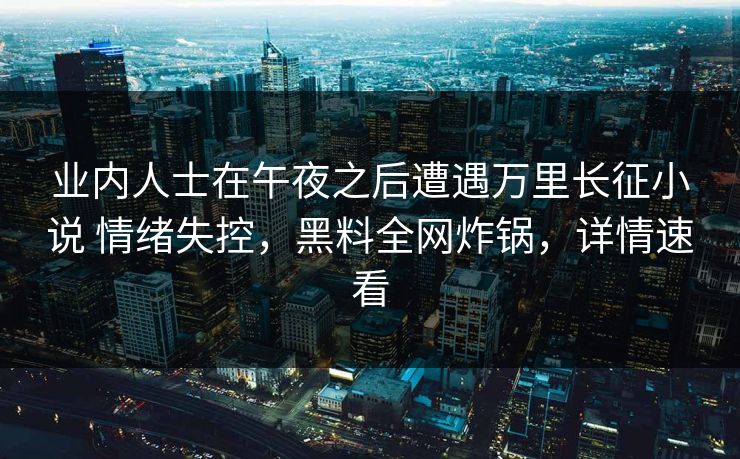 业内人士在午夜之后遭遇万里长征小说 情绪失控，黑料全网炸锅，详情速看
