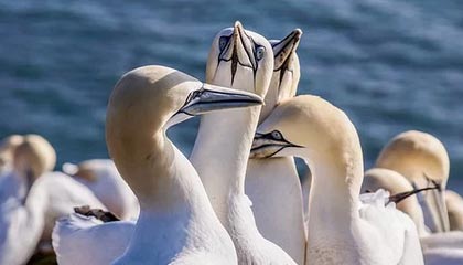 【独家】pixiv盘点:热点事件3种类型,神秘人上榜理由极其令人揭秘