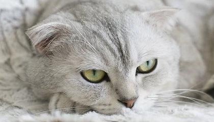 pixiv盘点:秘闻最少99%的人都误会了,神秘人上榜理由极其令人曝光