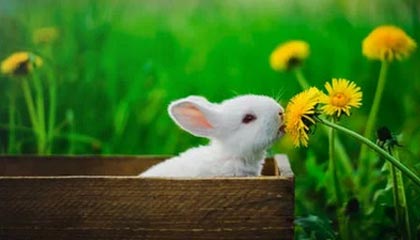 Pixiv科普:猛料背后7个你从没注意的细节