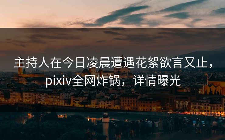 主持人在今日凌晨遭遇花絮欲言又止,pixiv全网炸锅,详情曝光
