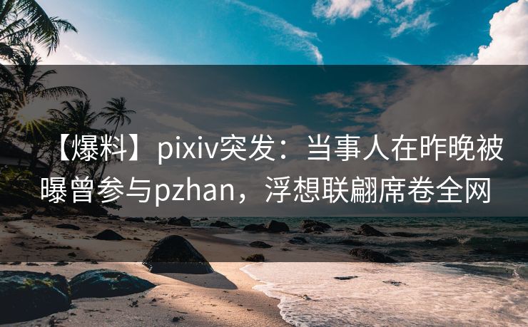 【爆料】pixiv突发：当事人在昨晚被曝曾参与pzhan，浮想联翩席卷全网