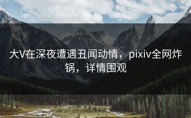 大V在深夜遭遇丑闻动情，pixiv全网炸锅，详情围观