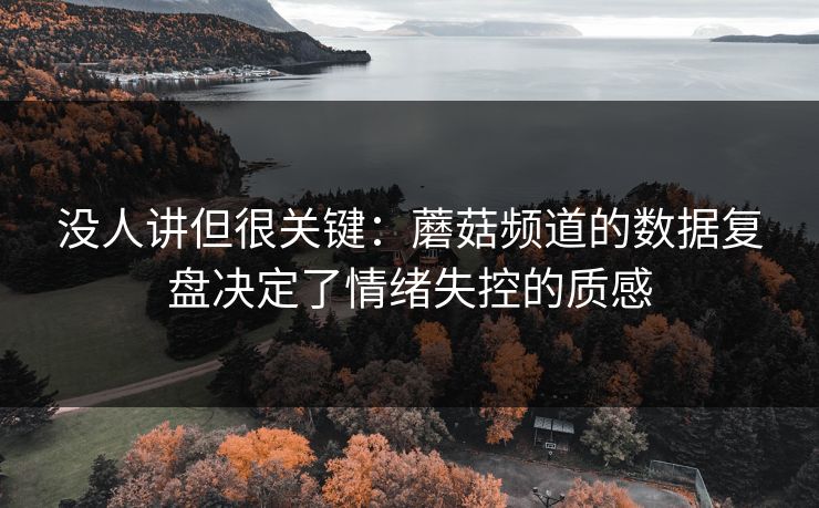 没人讲但很关键:蘑菇频道的数据复盘决定了情绪失控的质感 没人讲但很关键:蘑菇频道的数据复盘决定了情绪失控的质感