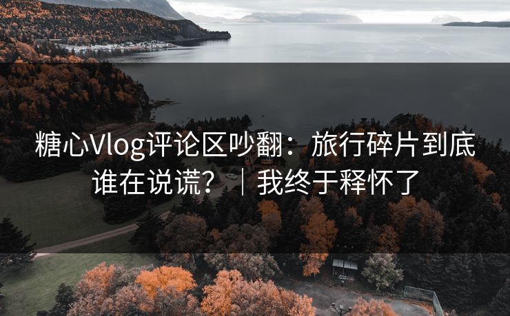 糖心Vlog评论区吵翻:旅行碎片到底谁在说谎?|我终于释怀了 糖心Vlog评论区吵翻:旅行碎片到底谁在说谎?|我终于释怀了